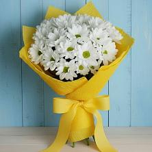 Букет цветов из:  Хризантемы в Яжелбицы