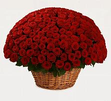 Премиум букет из: Розы в Яжелбицы